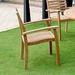 Red Barrel Studio® Aliyaan Stacking Teak Patio Dining Armchair Wood in Brown | 35.5 H x 24.5 W x 24 D in | Wayfair 861FDD96F95043669BF3B68E14C8EC72