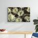 Latitude Run® Shower Flower Central Raja Ampat, Indonesia by Beverly Factor - Wrapped Canvas Photograph Canvas in White | Wayfair