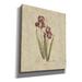 Red Barrel Studio® 'Springtime Iris' By Marilyn Hageman, Canvas Wall Art Canvas | 24 H x 20 W x 0.75 D in | Wayfair