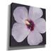 Red Barrel Studio® 'Hibiscus Portrait I' By Tim O'toole, Canvas Wall Art, 37"X37" Canvas, in Gray/Pink/Yellow | 18 H x 18 W x 0.75 D in | Wayfair