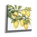 Red Barrel Studio® 'Ripe For Picking II' By Tim O'toole, Canvas Wall Art, 24"X20" Canvas, in Green/Yellow | 26 H x 30 W x 1.5 D in | Wayfair