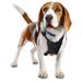 Embrace the Pace Black No Pull Dog Harness, Large