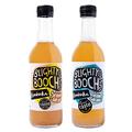 Blighty Booch Kombucha Bottled Tea Drink - 12 x Ginger Flavour - 12 x Original Flavour - Naturally Sparkling Fermented Unpasteurised Live Culture - Vegan Organic Gluten Free