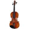 Scala Vilagio R.O. Guarneri Eclat Violin