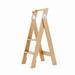 WFX Utility™ 43-1/2" Folding 2 Step Wood Step Stool w/ 250 Lb. Load Capacity Wood in Brown | 17.75 W x 22.5 D in | Wayfair