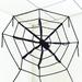 The Holiday Aisle® Giant Halloween Spider in Black, Size 7.87 H x 6.3 W x 3.74 D in | Wayfair 1E2C2B6943C044BBBB9246CCD9F78C4C