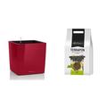 Lechuza Cube Premium 30, Scarlet Rot Hochglanz, Hochwertiger Kunststoff, Inkl. Bewässerungssystem, Herausnehmbarer Pflanzeinsatz, Für Innen- und Außennutzung, 16467+ "TERRAPON 12L Pflanzsubstrat