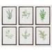 Winston Porter "Nature's Lace 1" - Set Of Six - Print Set Wood in Brown | 22.4 H x 27.6 W x 7.5 D in | Wayfair 9EDA0240E946419F852CC57777E51456