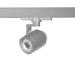 WAC Lighting Paloma Track Head in Gray | 5.125 H x 11.375 W x 3.25 D in | Wayfair WTK-LED512S-40-PT