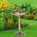 Canora Grey Beezie Birdbath Resin | 19.75 H x 19.75 W x 13.25 D in | Wayfair 7628C041E30E465B97E6D5F15E4B8BA4