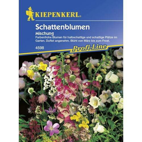 Kiepenkerl - Schattenblumen Mischung - Blumensamen