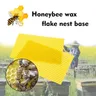 10/30pcs Feuilles de Cire D'abeille avec Texture En Nid D'abeille Cire D'abeille Enduit Fondations