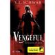 Vengeful - Die Rache Ist Mein / Vicious & Vengeful Bd.2 - V. E. Schwab, Kartoniert (TB)