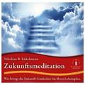 Zukunftsmeditation, 1 Audio-Cd - Nikolaus B. Enkelmann (Hörbuch)