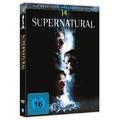 Supernatural - Staffel 14 (DVD)