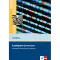 Lambacher Schweizer Mathematik Für Berufliche Gymnasien. Ausgabe Ab 2007 / Lambacher Schweizer Mathematik Berufliches Gymnasium Trainingsheft Eingangs