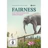 Fairness - Zum Verständnis Von Gerechtigkeit (DVD)
