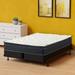 Twin Firm 9" Hybrid Mattress - The Twillery Co.® Landin Motion Isolating Medium Feel PillowTop w/ Box Spring | 74 H x 38 W 13 D in Wayfair