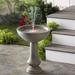 Canora Grey Alleene Polystone Tuscany Birdbath Fountain w/ Light | 20 H x 15 W x 15 D in | Wayfair C69A1E1C625E419A811BD8A0DF4989AC