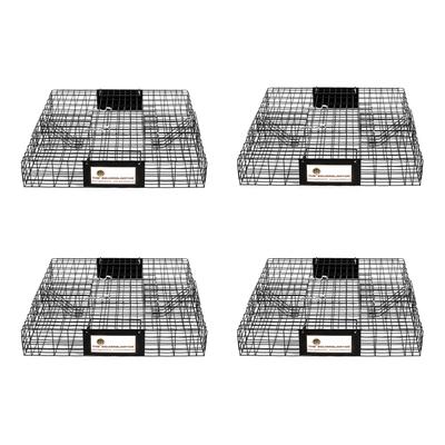 Rugged Ranch Squirrelinator Squirrel Chipmunk Metal 2 Door Trap Cage (4 Pack) - 24.5 x 24.5 x 5 inches