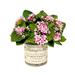 Primrue Ranunculus Floral Arrangement in Vase Silk in Pink | 9 H x 7 W x 9 D in | Wayfair 12FC659D0F4F4A118E0377E8DF2E8799