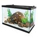 Open Glass 20 Gallon Rectangular Fish Aquarium Tank, Black