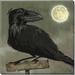 Darren Gygi Home Collection Crow Giclee by Darren Gygi - Wrapped Canvas Print Canvas | 20 H x 20 W x 1 D in | Wayfair 218-L-2020