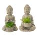 Bungalow Rose 2 Piece Sitting Buddhas w/ Mini Succulents Set Cement in Gray | 6.3 H x 3.9 W x 3.9 D in | Wayfair BA0B27FF9B0C47F9890D782D8F6428DC