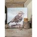 Darren Gygi Home Collection Sparrow Giclee by Darren Gygi - Wrapped Canvas Graphic Art Canvas | 14 H x 14 W x 1 D in | Wayfair 199-M-1414