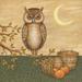 Red Barrel Studio® Halloween Owl Canvas, Wood | 12 H x 12 W x 1.25 D in | Wayfair 8410BC98F25746E1B4B29AEE09EA1173