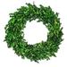 The Holiday Aisle® Preserved 17" ery Wreath in Green | 17 H x 17 W x 3 D in | Wayfair FE7731BFDBAF429FB461B659F1B83D90