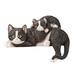 Red Barrel Studio® Playful Mama & Baby Cat Figurine Resin in Black | 8.07 H x 6.69 W x 11.61 D in | Wayfair 1CE9059826FE4A6A9D0D16806E26FB29