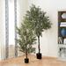 Faux Olive Tree - 5FT - Ballard Designs - Ballard Designs