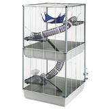 Midwest Homes For Pets Ferplast Ferret Tower Two Story Ferret Cage in Gray | 63.41 H x 31.51 W x 29.51 D in | Wayfair 57063414
