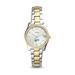 Women's Fossil North Texas Mean Green Scarlette Mini Two-Tone Stainless Steel Watch