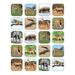 Teacher Created Resources Animals Stickers in Brown | 7.5 H x 4.5 W x 1 D in | Wayfair TCR5468-12