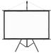 Inbox Zero Projection Screen Home Theater Screen Pull-down in White | 33.46 H x 53.94 W in | Wayfair BD500F08DD104D68AD473DBC67AF319E