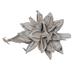 Primrue All Natural Star Pod, Extra Large, Dried 6" Star Pod, Dried | 12 H x 8 W x 12 D in | Wayfair 1915C8F2A2454F399C750FCACA87AE10