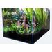 7.43 Gallon Low Iron Ultra Clear Aquarium Tank with Built in Side Filter, 17.72" L X 9.84" W X 9.84" H, 44 LBS