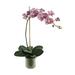 Creative Displays, Inc. Orchid Arrangement in Glass Vase Polysilk in Pink | 23 H x 14 W x 8 D in | Wayfair CDFL6094