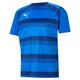 PUMA Herren Teamvision Jersey Shirt, Farbe: Electric Blue Lemonade-limoges-puma White, M