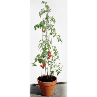 Tomatenturm 120 cm hoch Spalier Rankhilfe Rankgitter - Bellissa