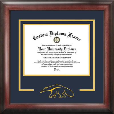 University of California, Irvine 11w x 8.5h Spirit Diploma Frame