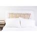 Amity Home Halimton Geometric Dutch Euro Pillow Polyester/Polyfill/Cotton Blend in White | 31 H x 37 W x 2 D in | Wayfair CC997NDES