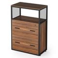 Inbox Zero Espinal 2-Drawer Vertical Filing Cabinet Wood in Brown | 43.3071 H x 23.622 W x 15.748 D in | Wayfair 7F5C5F4982834BF5B739F54EA2C4013A