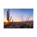 East Urban Home Sunset Saguaro National Park East I by Susanne Kremer - Wrapped Canvas Photograph Canvas | 18 H x 26 W x 1.5 D in | Wayfair