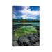 East Urban Home Coral Reef & Haiku, Pu'Uhonua O Honaunau National Historic Park, Kona Coast | 12 H x 8 W x 0.75 D in | Wayfair