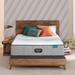 Twin 13.5" Hybrid Mattress - Beautyrest Empress Series Plush Wood in Brown | 81 H x 85 W 13.5 D Wayfair 700811191-1010