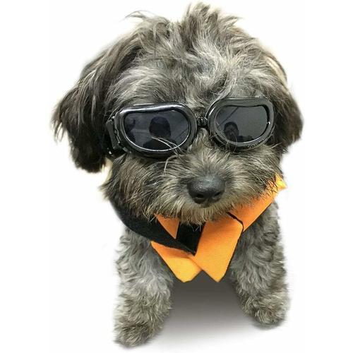 Sonnenbrillen für Hunde UV Schutzbrille Wasserdichter Einstellbar Hundebrille für Kleine