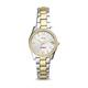 Women's Fossil Silver/Gold Saginaw Valley State Cardinals Scarlette Mini Two-Tone Stainless Steel Watch